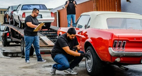 Cars prepared for auto export from the United States